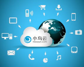 小鳥云計算 以中立與品質為核心，賦能企業數據處理與存儲